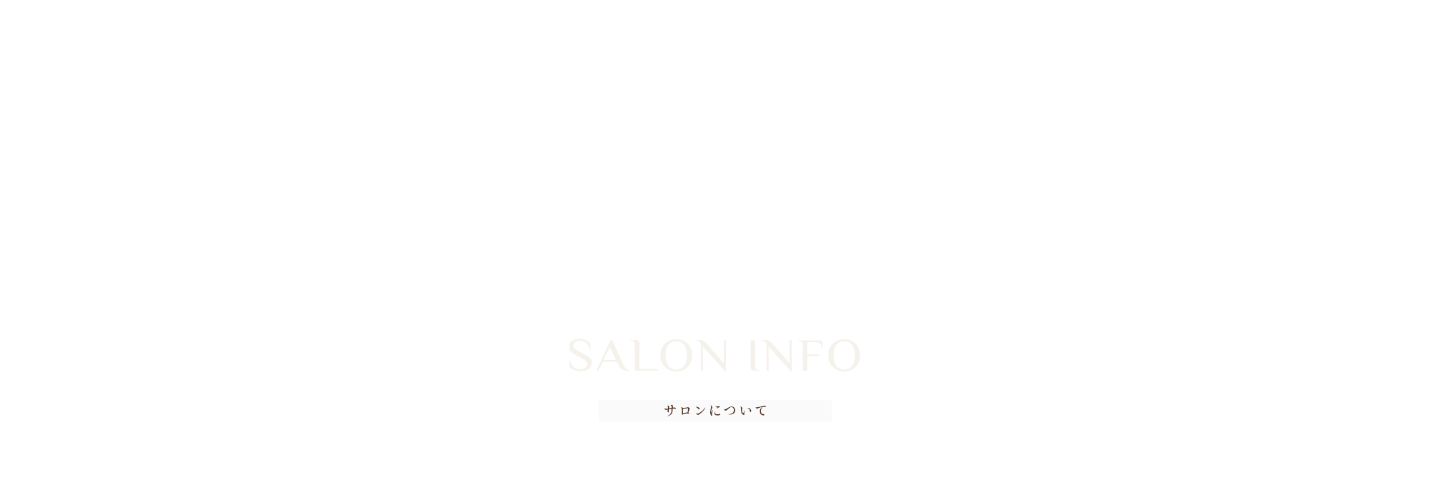 SALON INFO